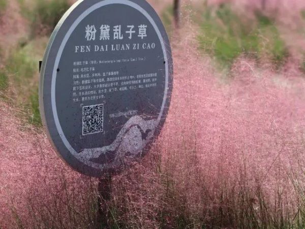 風景942.jpg